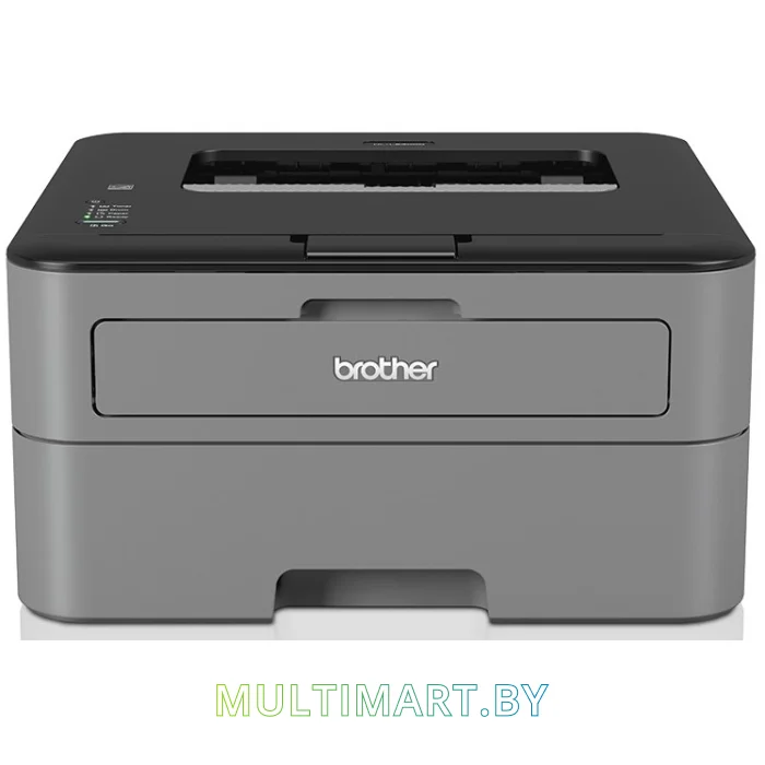 Принтер Brother HL-L2300D